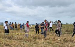 Peternak Itik Tewas di Tengah Sawah, Polisi Sidrap Amankan Dua Tersangka
