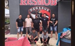 Polisi Gerebek Judi Sabung Ayam di Turatea, Dua Pelaku Diamankan