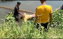 Polisi Cari Identitas Mayat Mengapung di Bawah Jembatan Kembar Gowa