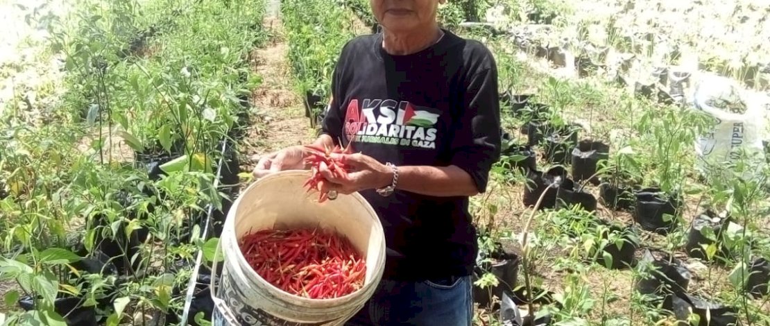 Pengda PJI Sulsel Kembangkan Agrobisnis, Luncurkan Koperasi "Jurnalis Mandiri Sejahtera"