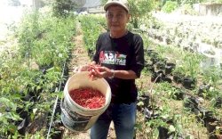 Pengda PJI Sulsel Kembangkan Agrobisnis, Luncurkan Koperasi "Jurnalis Mandiri Sejahtera"