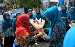 Tim SMEP PKK Sulsel Kunjungan ke Kepulauan Selayar