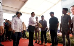 Target 3 Tahun Swasembada, Mentan Salurkan Alsintan dan Bibit Senilai Rp65,4 M di Gowa