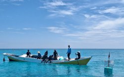 Pertama Kali di Indonesia, Sulsel Bakal Gelar Jambore untuk Kelompok Masyarakat Penjaga Laut