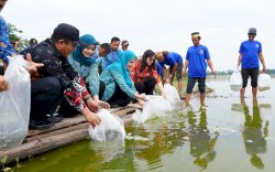 Pj Ketua PKK Sulsel Ninuk Zudan Tebar 10 Ribu Benih Ikan Nila dan Mas di Danau Mawang
