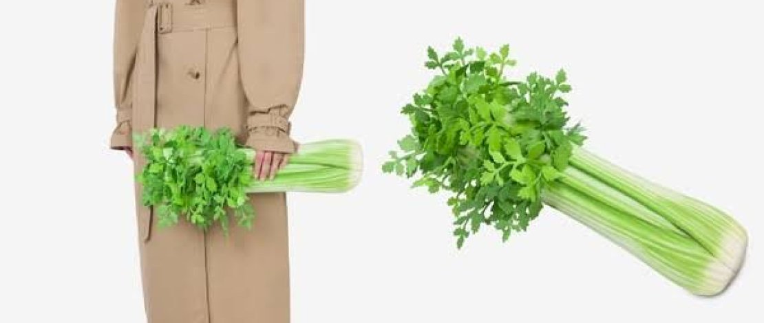 Moschino Rilis Tas Bentuk Seledri, Dijual Rp 71,7 Juta 