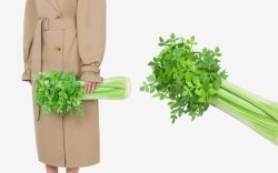 Moschino Rilis Tas Bentuk Seledri, Dijual Rp 71,7 Juta 