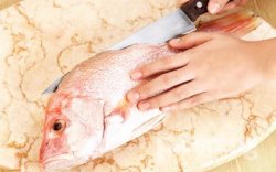 Begini Cara Mengolah Ikan Agar Kandungan Gizinya Tidak Hilang