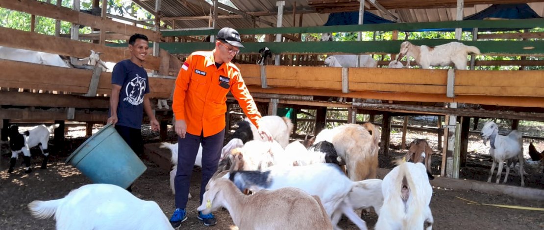 Nahar, peternak binaan Rumah Zakat Sulsel, di Desa Berdaya Timbuseng, Kabupaten Gowa.
