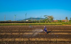 Langkah Nyata BRI Menuju Ekonomi Hijau, Portofolio Pembiayaan Berkelanjutan Capai Rp764,8 triliun