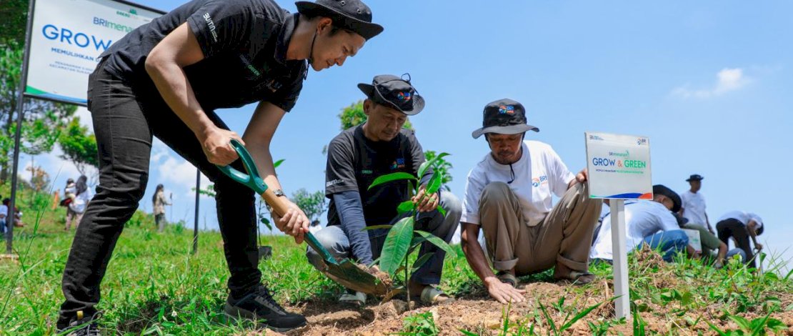 Pulihkan Hutan Bekas Tambang, Aksi Nyata Kelompok Tani Selamatkan Lingkungan Bersama BRI Menanam-Grow & Green
