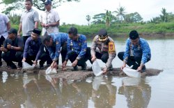 Perkuat Ketahanan Pangan, Pj Bupati bersama Forkopimda Takalar Tebar Benih Ikan Bandeng