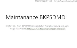 Website Sedang dalam Perbaikan, Informasi Dipusatkan ke Akun Instagram Resmi BKPSDM Makassar