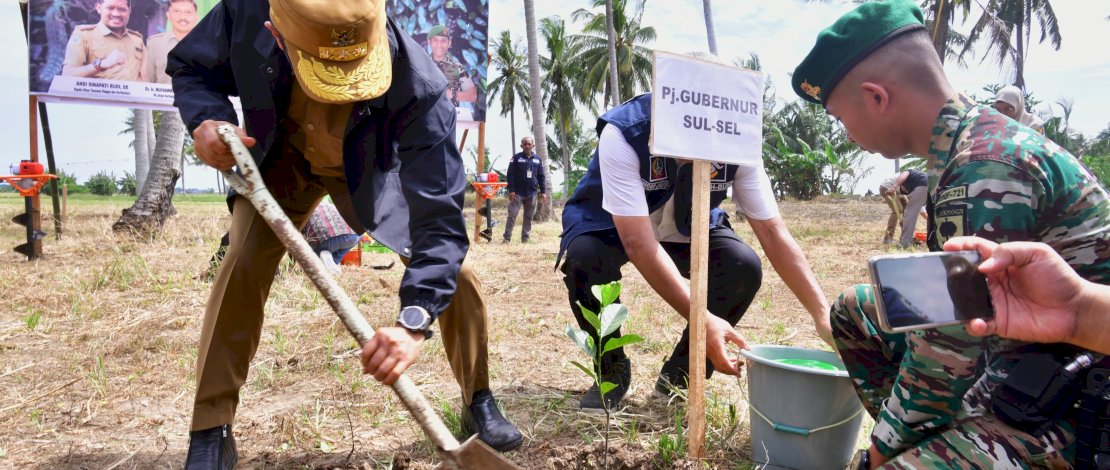 Sulsel Tingkatkan Indeks Kualitas Lingkungan Hidup: 16 Ribu Pohon Ditanam di 2024