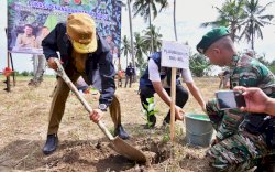 Sulsel Tingkatkan Indeks Kualitas Lingkungan Hidup: 16 Ribu Pohon Ditanam di 2024