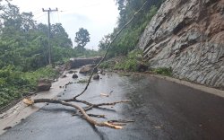 Longsor di Poros Bone-Makassar Lumpuhkan Akses Jalan