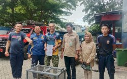 Dinas Pemadam Kebakaran Makassar Amankan 7 Ular, Serahkan ke BKSDA