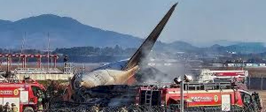 Pesawat Jeju Air Korsel Meledak Gegara Ditabrak Kawanan Burung Pesawat Jeju Air Korsel Meledak Gegara Ditabrak Kawanan Burung