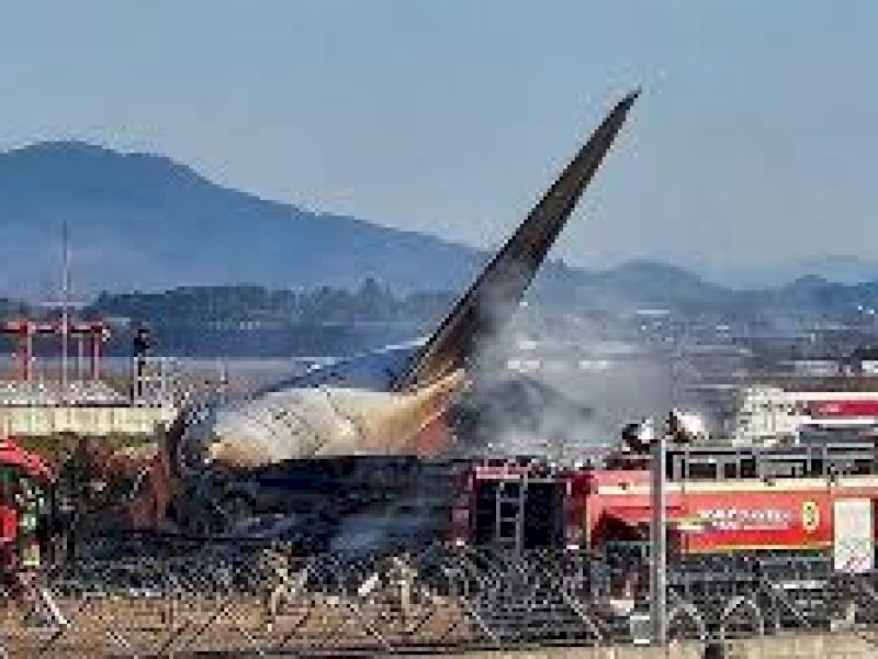 Pesawat Jeju Air Korsel Meledak Gegara Ditabrak Kawanan Burung 