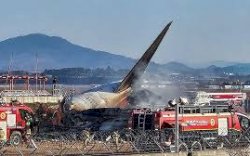 Pesawat Jeju Air Korsel Meledak Gegara Ditabrak Kawanan Burung 