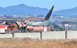 Imbas Kecelakaan, 68 Ribu Penumpang Jeju Air Batalkan Penerbangan 