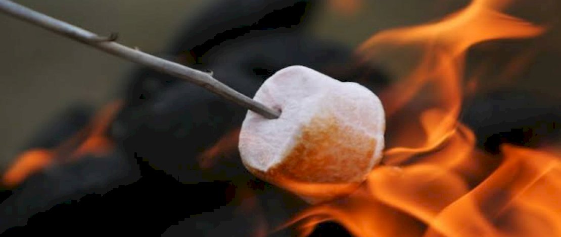 Ide Menu Bebakaran Tahun Baru, Ada Sosis hingga Marshmallow