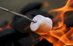 Ide Menu Bebakaran Tahun Baru, Ada Sosis hingga Marshmallow