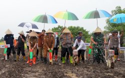 Serentak Se-Indonesia Bersama Mentan dan Kapolri, Pj Gubernur Prof Fadjry Djufry dan Forkopimda Kompak Tanam Jagung di Jeneponto