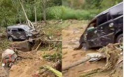 Longsor di Pekalongan, 25 Meninggal Dunia, Sembilan Dilaporkan Hilang