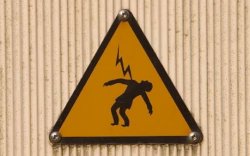 Tukang Parkir Nyaris Tewas Tersengat Listrik Saat Hendak Selamatkan Burung Elang