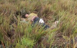 Kabur dari Rumah 6 Hari, Perempuan Asal Pasuruan Ditemukan Hipotermia di Bromo 