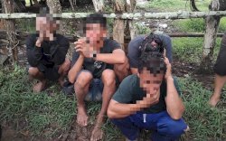 Polres Bone Tangkap Komplotan Pencuri Anjing