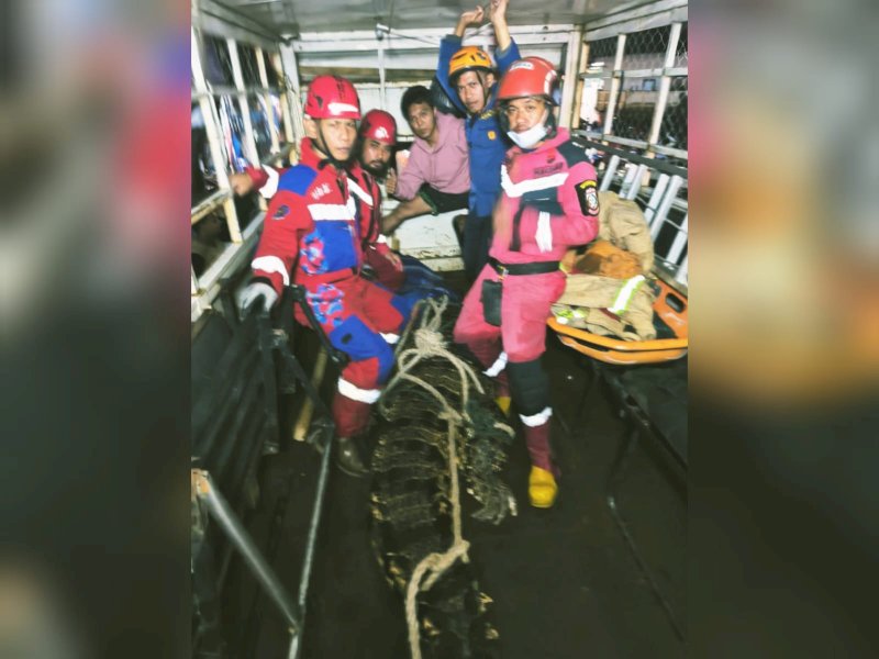 Buaya di Manggala Bukan Hanya Satu Ekor, Warga Diminta Waspada