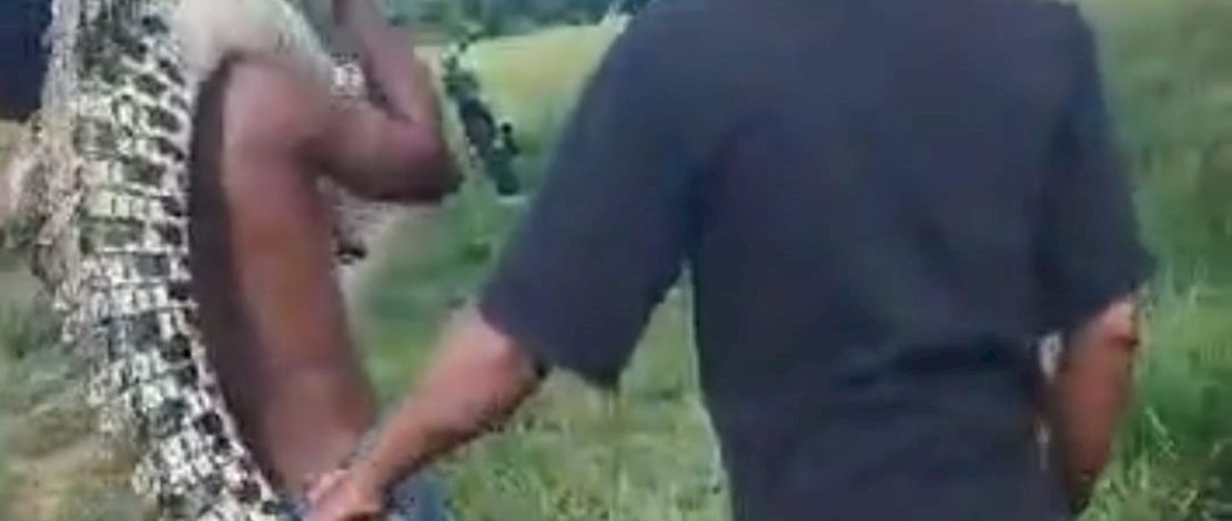 Takluk di Tangan Encung! Buaya Muara Tertangkap di Bone Takluk di Tangan Encung! Buaya Muara Tertangkap di Bone