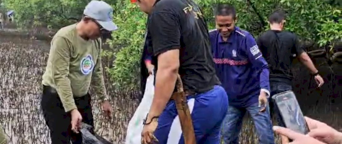 Pemerintah Kabupaten Kepulauan Selayar melalui Dinas Lingkungan Hidup melakukan aksi bersih dan tanam mangrove, di Taman Mangrove Desa Bontosunggu, Kecamatan Bontoharu, Kamis, 27 Februari 2025 lalu.
Pemerintah Kabupaten Kepulauan Selayar melalui Dinas Lingkungan Hidup melakukan aksi bersih dan tanam mangrove, di Taman Mangrove Desa Bontosunggu, Kecamatan Bontoharu, Kamis, 27 Februari 2025 lalu.