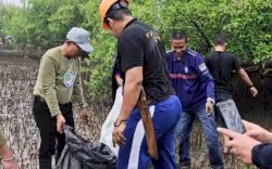 HPSN 2025, Pemkab Selayar Gelar Aksi Bersih dan Tanam Mangrove