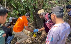 Polisi Identifikasi Tengkorak Manusia yang Ditemukan di Wajo