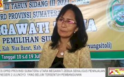 Viral Video Anggota DPRD Sumut Diduga Cekik Pramugari di Pesawat, Golkar Benarkan Identitas Pelaku