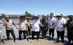 Hadiri Gerakan Menanam Padi, Wali Kota Munafri Tekankan Mendukung Swasembada Pangan 