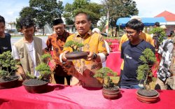 Bupati Irwan Bachri Syam Dukung Pengembangan Bonsai di Luwu Timur