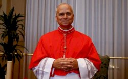 Paus Leo Serukan Gencatan Senjata di Gaza 