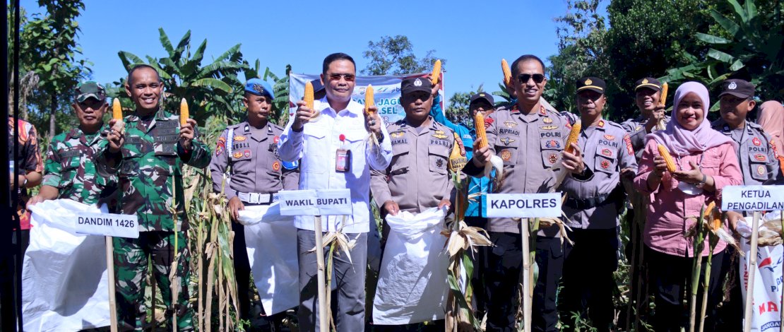 Panen Raya Jagung di Takalar, Wabup Hengky Yasin Tekankan Peningkatan Produktivitas dan Ketahanan Pangan Panen Raya Jagung di Takalar, Wabup Hengky Yasin Tekankan Peningkatan Produktivitas dan Ketahanan Pangan