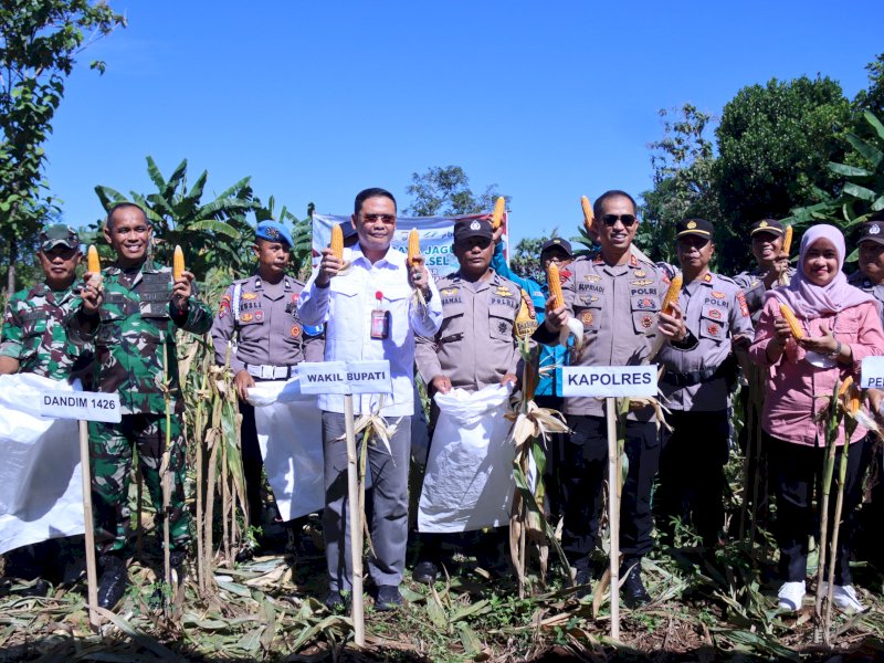 Panen Raya Jagung di Takalar, Wabup Hengky Yasin Tekankan Peningkatan Produktivitas dan Ketahanan Pangan