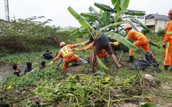 Hijaukan Bumi, BTIIG Rayakan May Day dengan Tanam Pohon dan Bersih-Bersih Drainase
