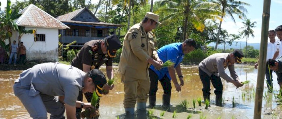 Presiden Prabowo Pimpin Gerakan Tanam Padi Serentak: Kabupaten Maros Lampaui Target Serapan Gabah