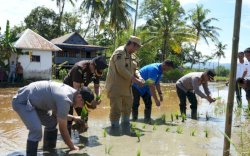 Presiden Prabowo Pimpin Gerakan Tanam Padi Serentak: Kabupaten Maros Lampaui Target Serapan Gabah