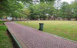 Jaga Fungsi Ekologis Taman Pakui, Pemprov Sulsel Pertimbangkan Zona Khusus Senam