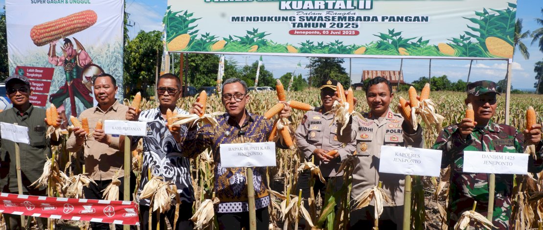 Bupati Paris Yasir Pimpin Panen Raya Jagung, Pertanian Jeneponto Makin Gemilang