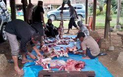 Kerukunan Masyarakat Bulukumba Kembali Berkurban 14 Ekor Sapi di Kampung Halaman