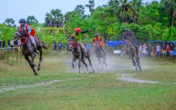 Meriahkan HUT ke-162, Jeneponto Gelar Pacuan Kuda Bupati Cup I Berhadiah Rp73,5 Juta